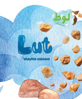 Lut 'Alayhis Salaam