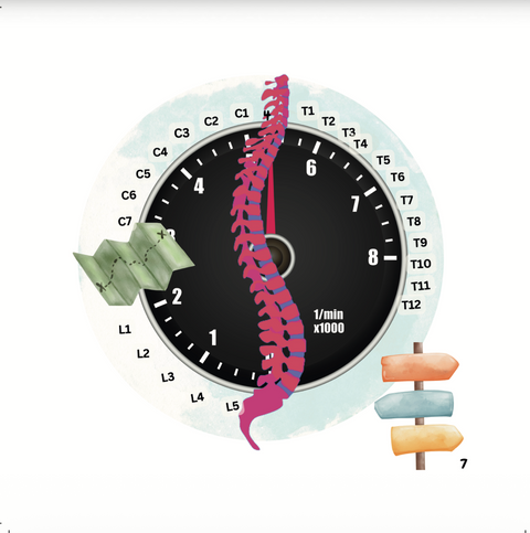 My 1st Little Chiropractic Book - House Of Salaf