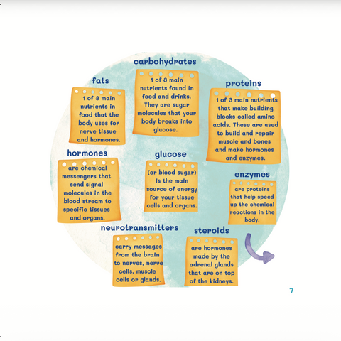 My 1st Little Vitamins & Minerals - House Of Salaf
