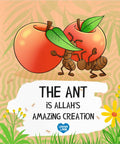 The Ant is Allah's Amazing Creation - book cover