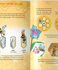 The Bee is Allah's Amazing Creation - inside page