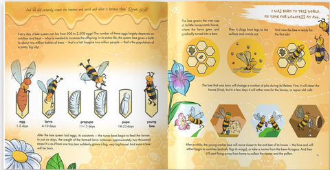 The Bee is Allah's Amazing Creation - inside page