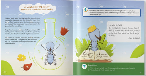 The Fly is Allah's Amazing Creation - inside page