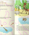 The Mosquito is Allah's Amazing Creation - inside page