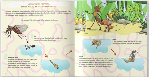 The Mosquito is Allah's Amazing Creation - inside page