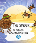 Allah's Amazing Creation, 5 Book Bundle, The Spider cover