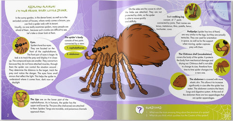 The Spider is Allah's Amazing Creation - inside page