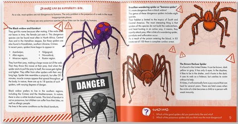 The Spider is Allah's Amazing Creation - inside page
